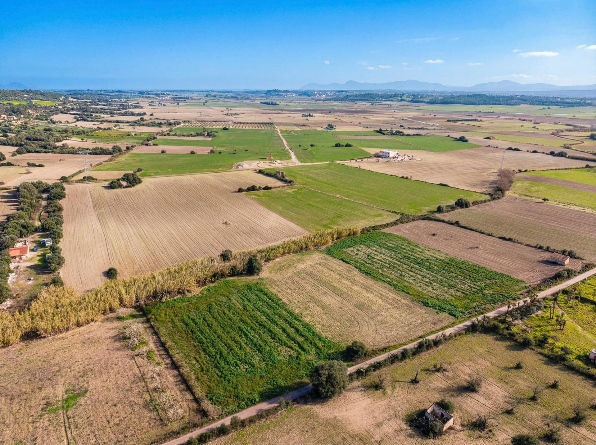 Land In Llubi, Spain (80 M²)