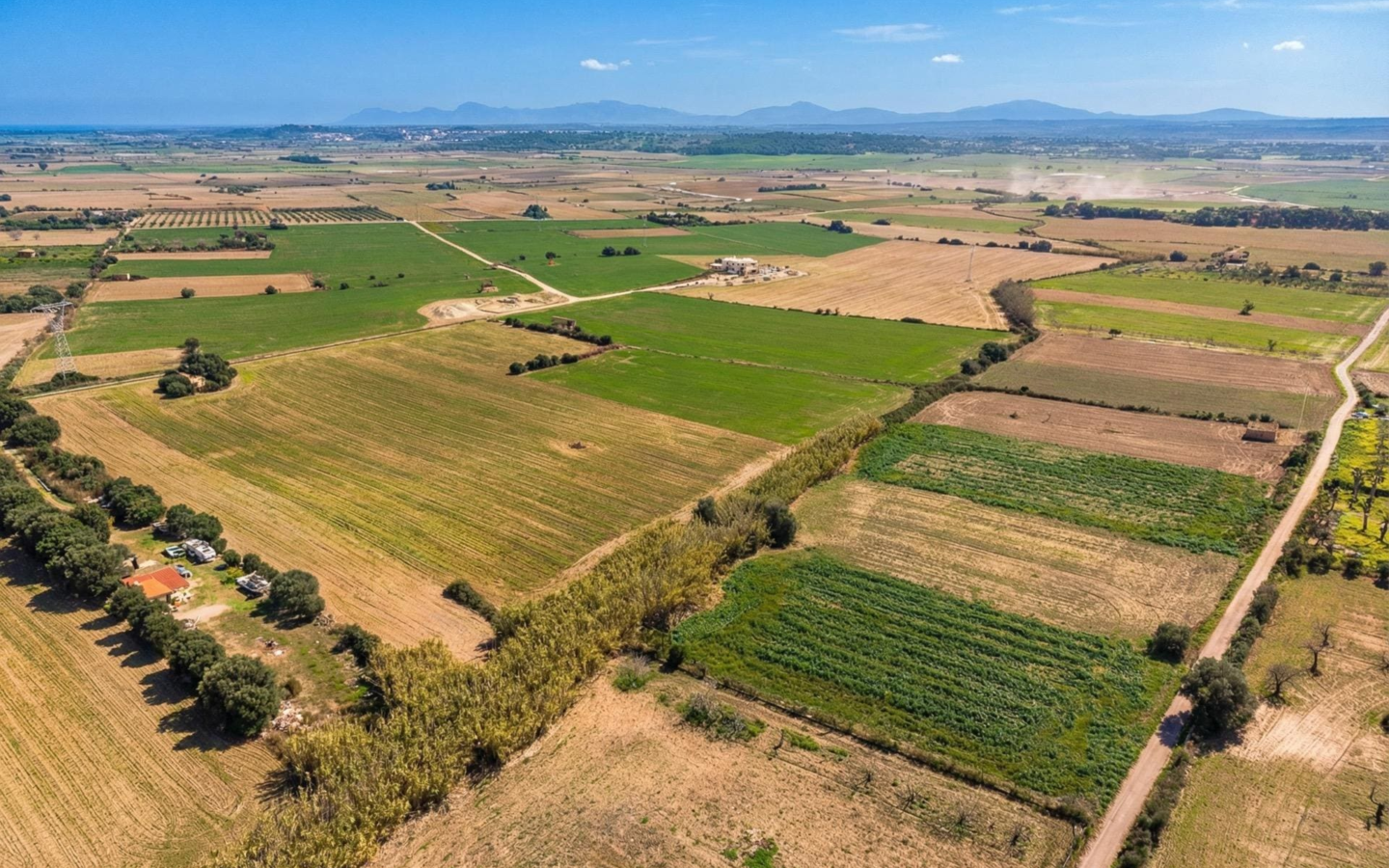 Land In Llubi, Spain (80 M²)