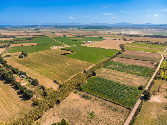 Land In Llubi, Spain (80 M²)