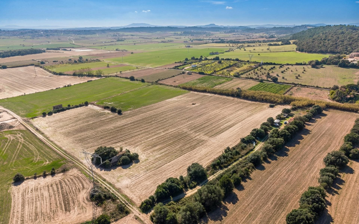 Land In Llubi, Spain (80 M²)