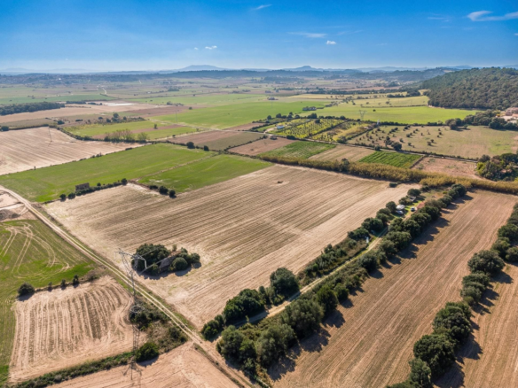 Land In Llubi, Spain (80 M²)