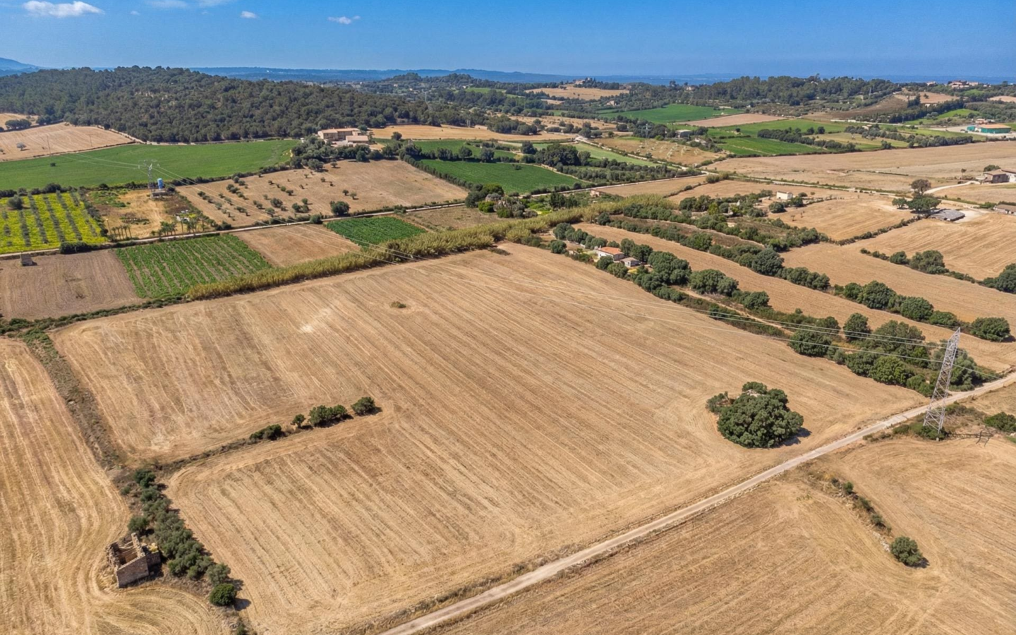 Land In Llubi, Spain (80 M²)