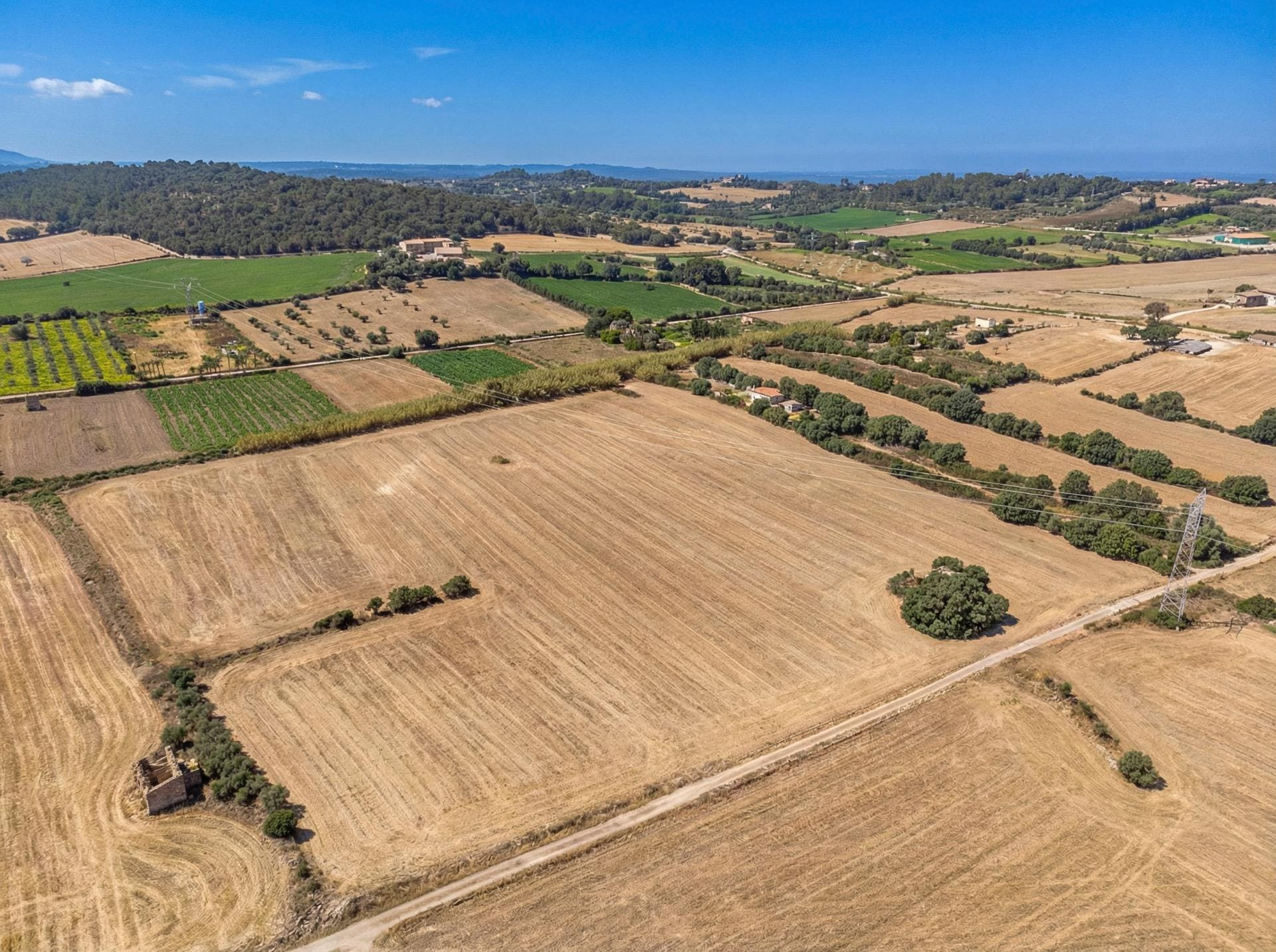 Land In Llubi, Spain (80 M²)