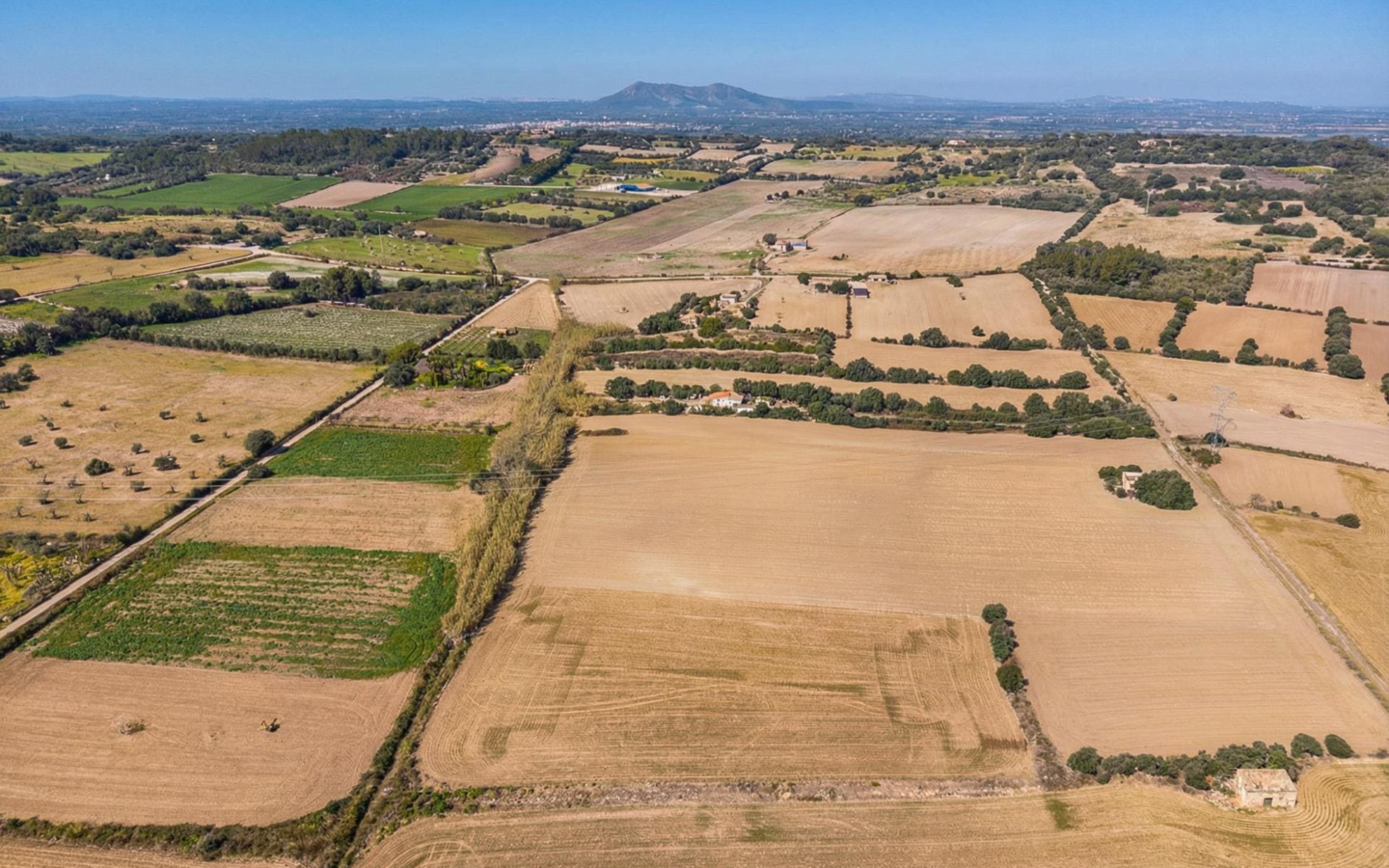 Land In Llubi, Spain (80 M²)