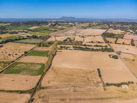 Land In Llubi, Spain (80 M²)