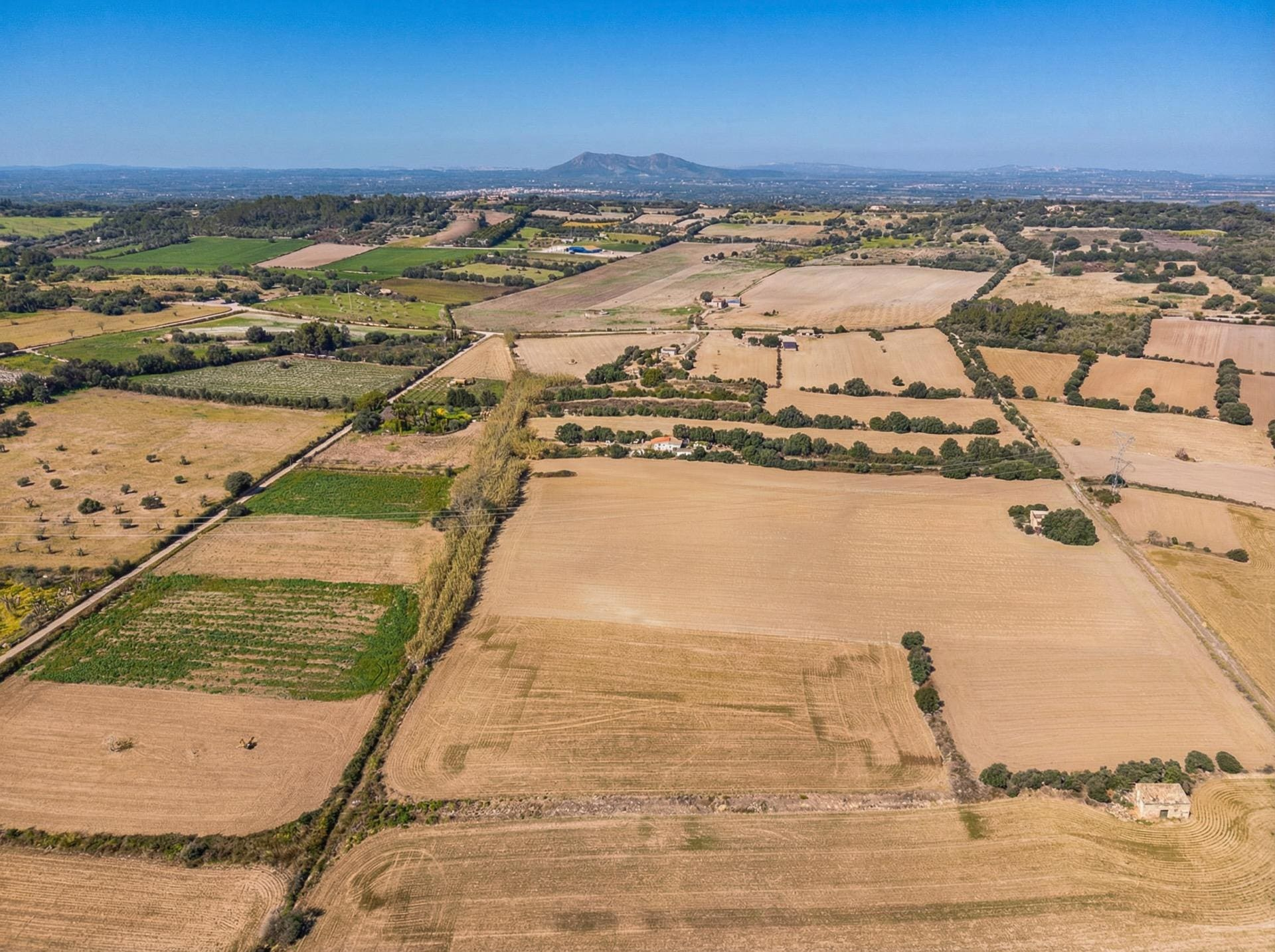 Land In Llubi, Spain (80 M²)