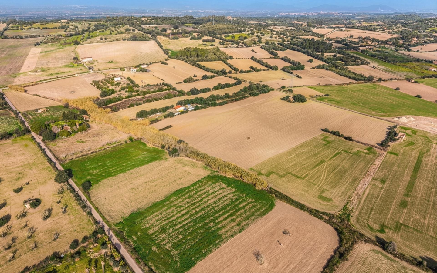 Land In Llubi, Spain (80 M²)
