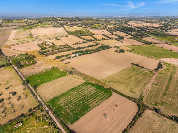 Land In Llubi, Spain (80 M²)