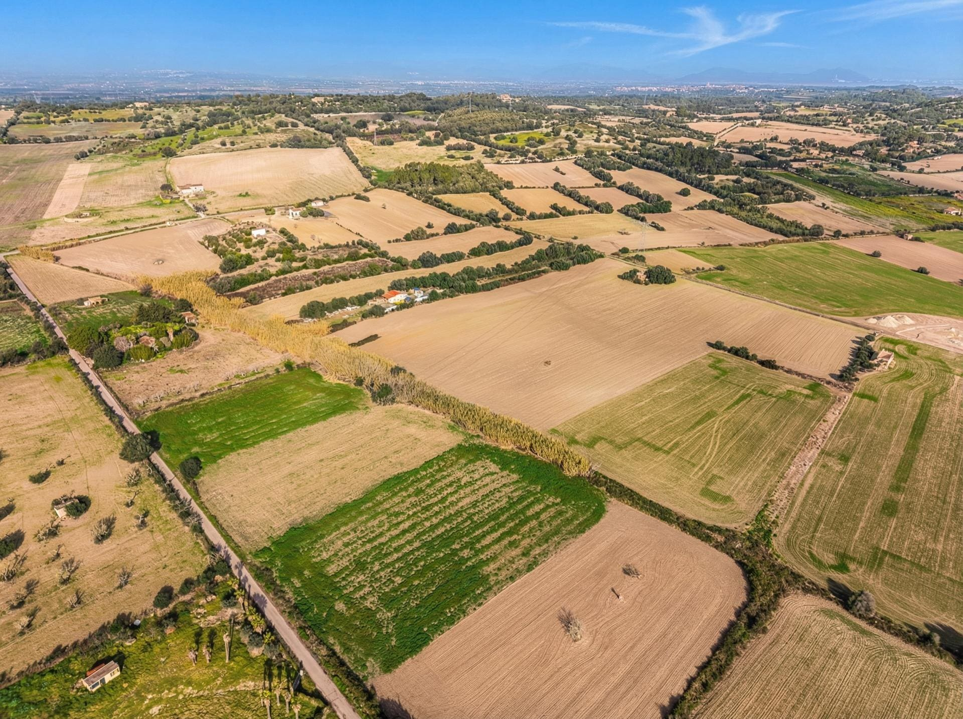 Land In Llubi, Spain (80 M²)