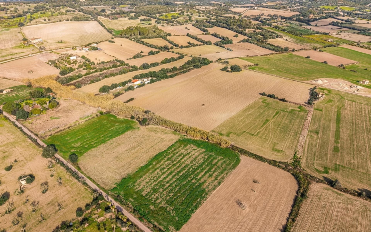 Land In Llubi, Spain (80 M²)