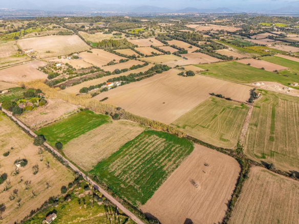 Land In Llubi, Spain (80 M²)