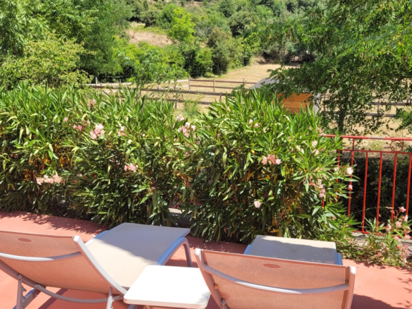 9-bedroom House In Olargues, France (367 M²)