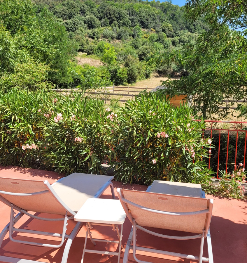 9-bedroom House In Olargues, France (367 M²)