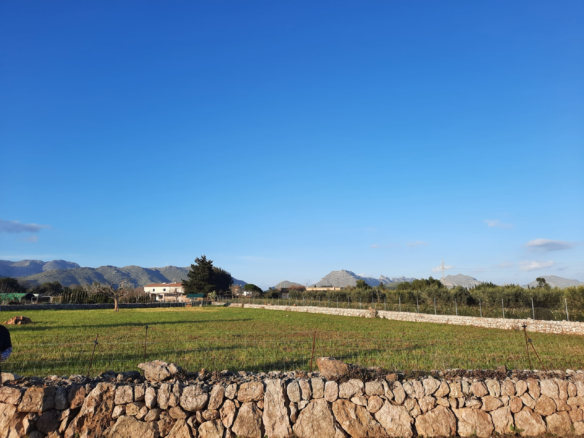 4-bedroom Finca In Pollensa, Spain (199 M²)