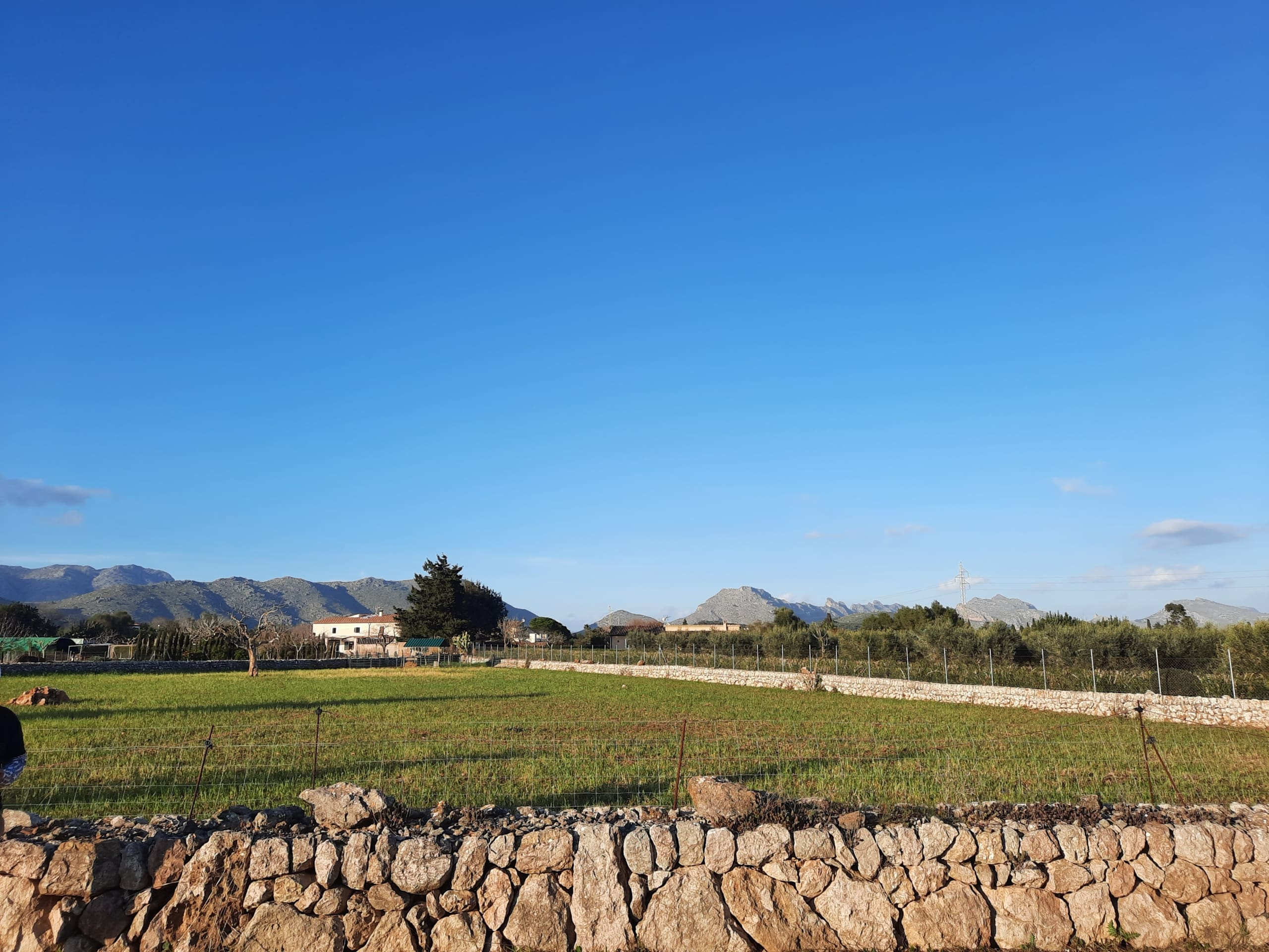 Ref-462-Pollenca-Finca-14-scaled-23d5da 4-bedroom Finca In Pollensa, Spain (199 M²)