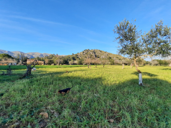 4-bedroom Finca In Pollensa, Spain (199 M²)