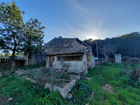 4-bedroom Finca In Pollensa, Spain (199 M²)
