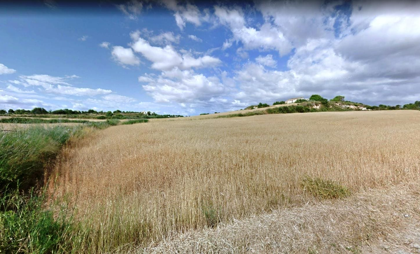 Land In Santa Margalida, Spain (56.396 M² Plot)