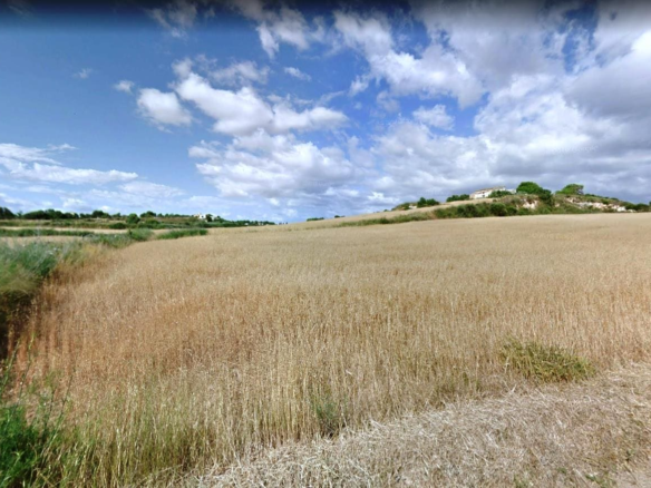 Land In Santa Margalida, Spain (56.396 M² Plot)