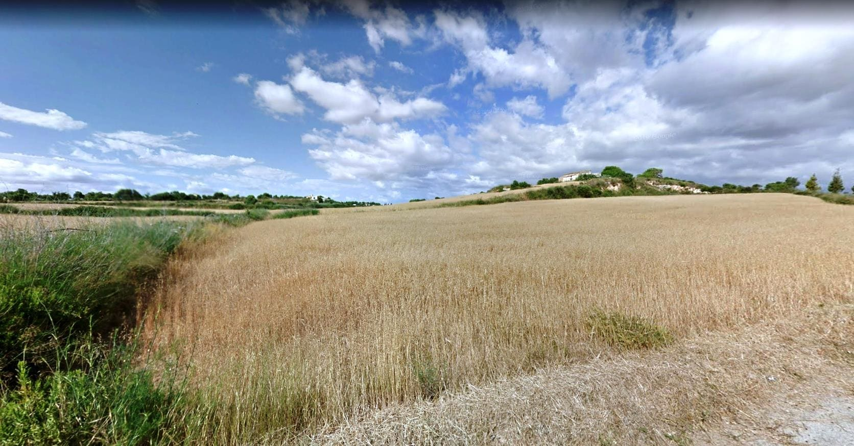 Land In Santa Margalida, Spain (56.396 M² Plot)