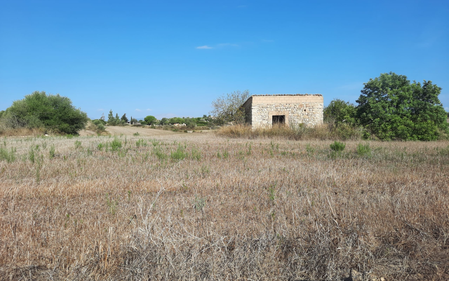 Land In Santa Margalida, Spain (56.396 M² Plot)