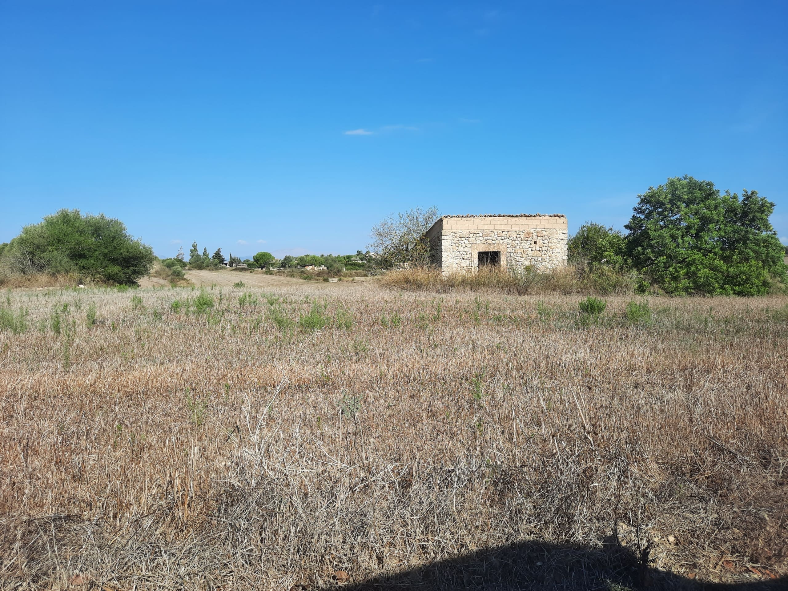 Land In Santa Margalida, Spain (56.396 M² Plot)