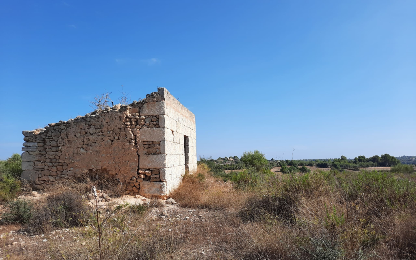 Land In Santa Margalida, Spain (56.396 M² Plot)