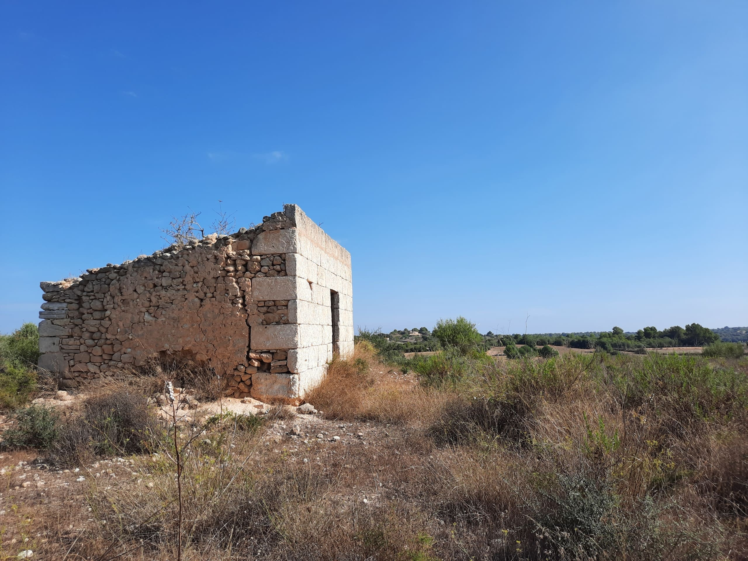 Land In Santa Margalida, Spain (56.396 M² Plot)