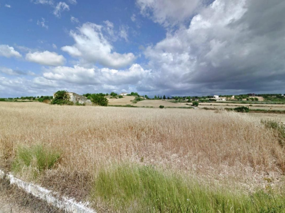 Land In Santa Margalida, Spain (56.396 M² Plot)
