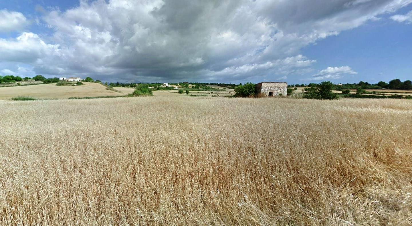 Land In Santa Margalida, Spain (56.396 M² Plot)
