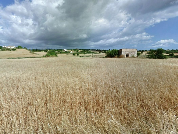Land In Santa Margalida, Spain (56.396 M² Plot)
