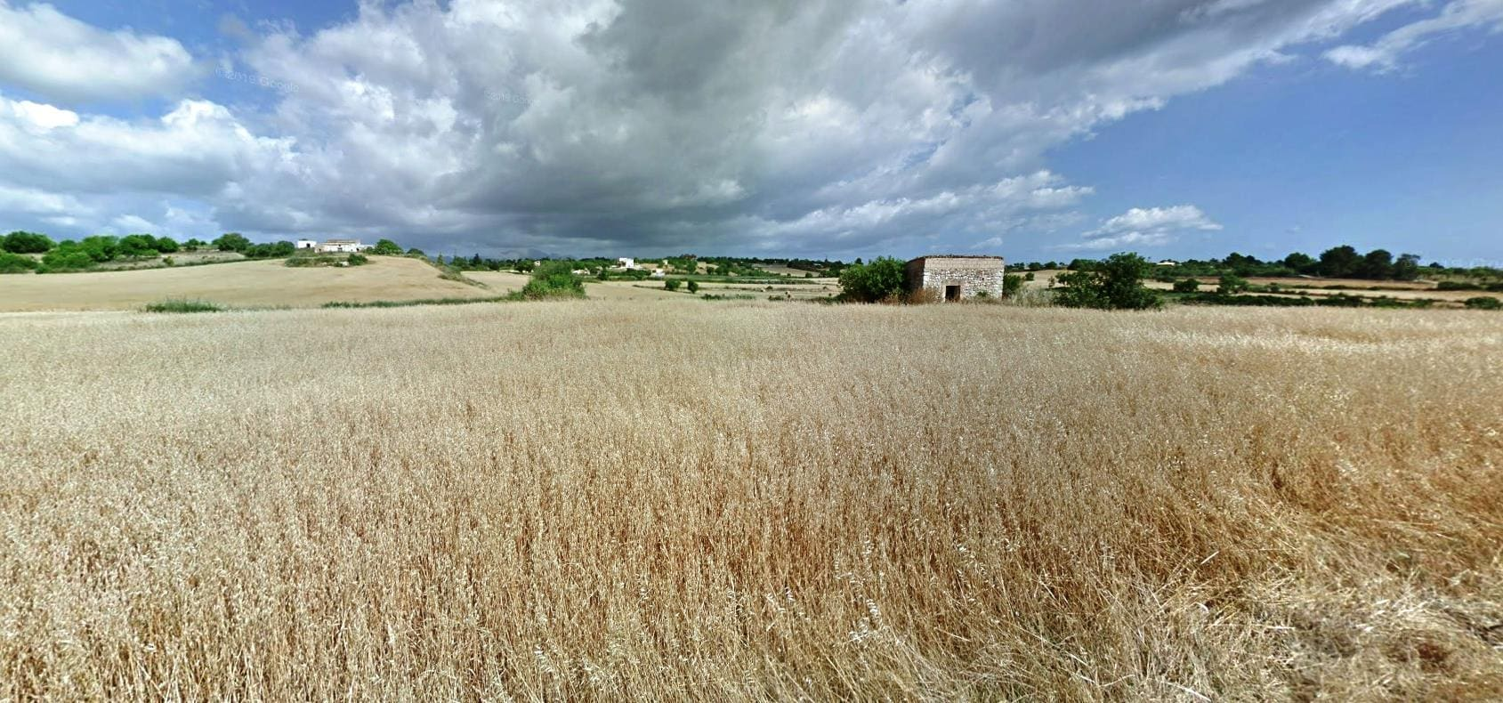 Land In Santa Margalida, Spain (56.396 M² Plot)
