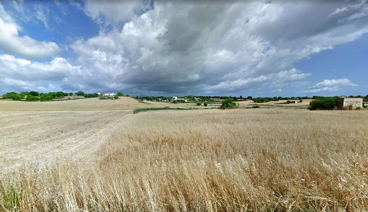 Land In Santa Margalida, Spain (56.396 M² Plot)