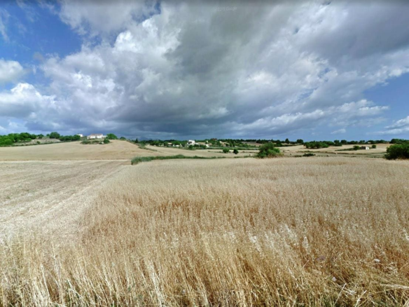 Land In Santa Margalida, Spain (56.396 M² Plot)