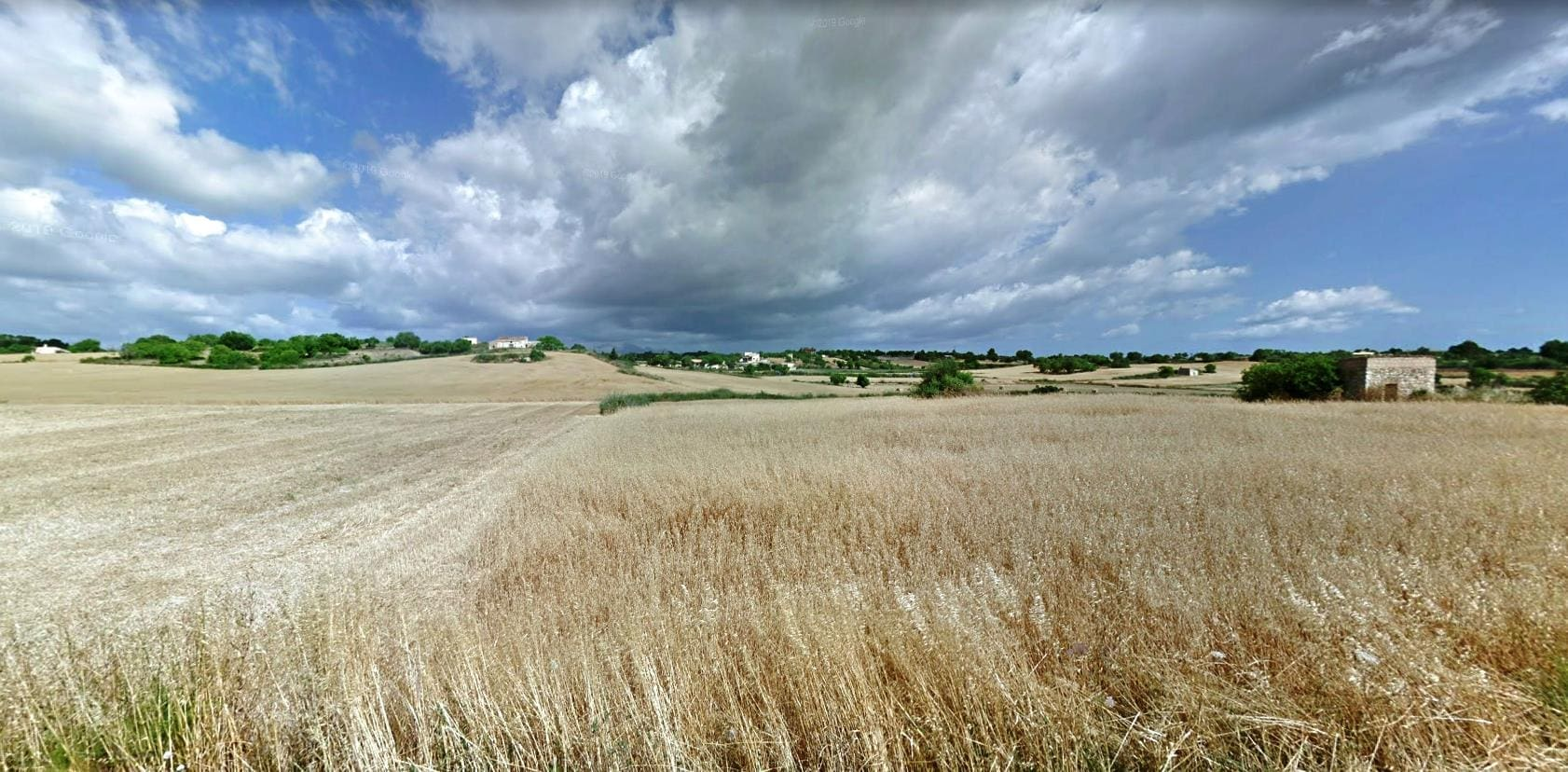 Land In Santa Margalida, Spain (56.396 M² Plot)