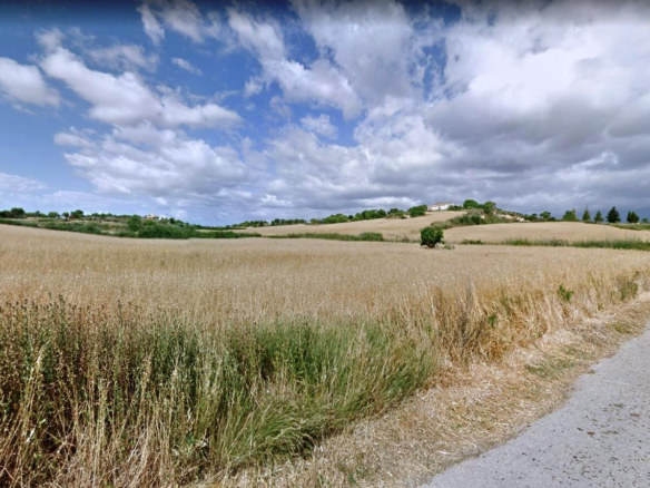 Land In Santa Margalida, Spain (56.396 M² Plot)