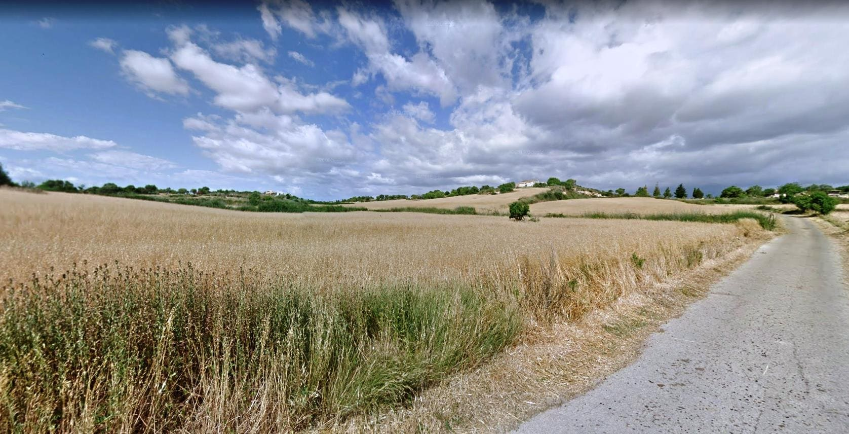 Land In Santa Margalida, Spain (56.396 M² Plot)