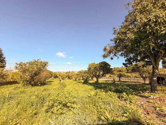 Finca In Costitx