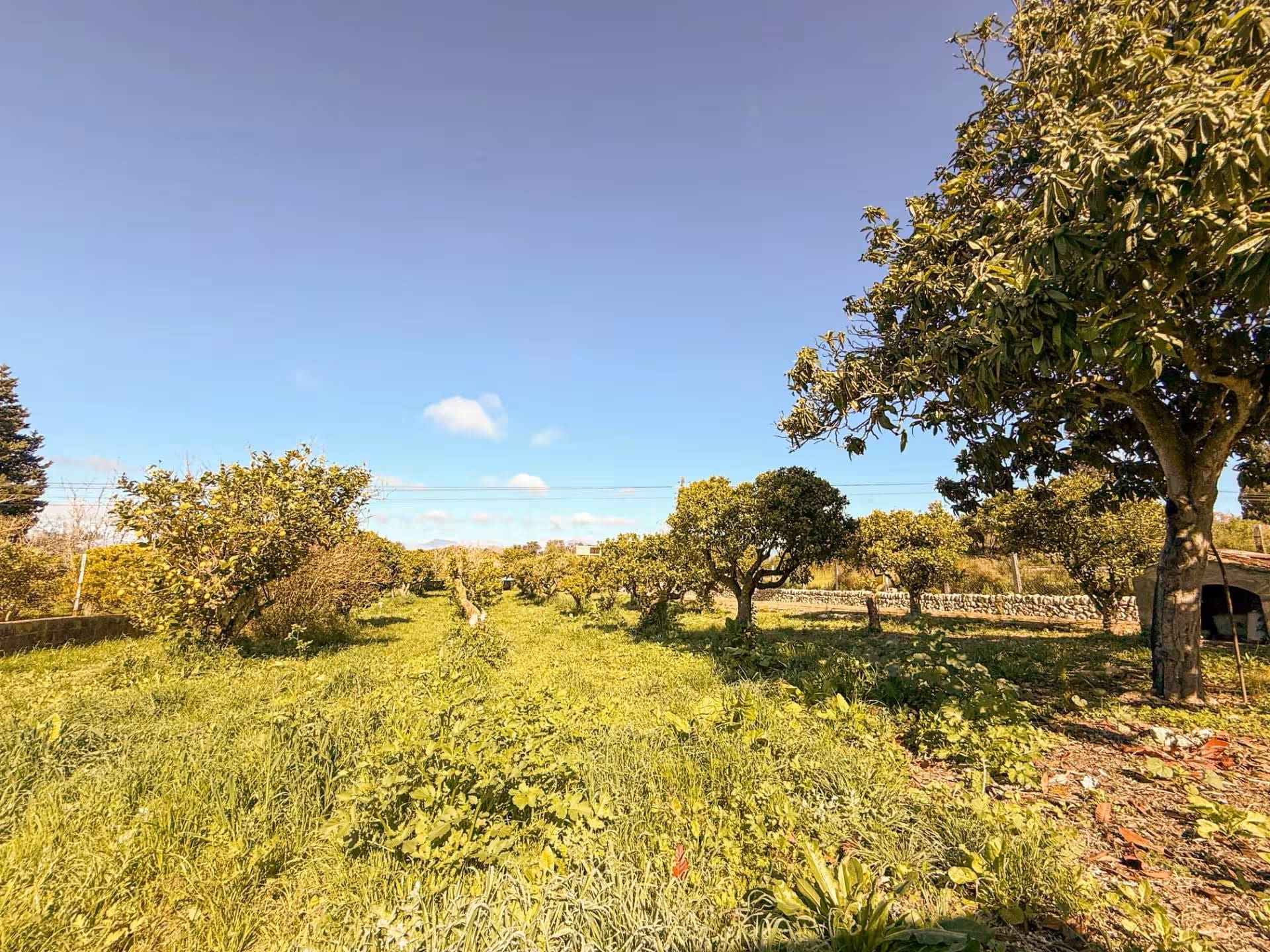 Finca In Costitx