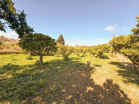 Finca In Costitx