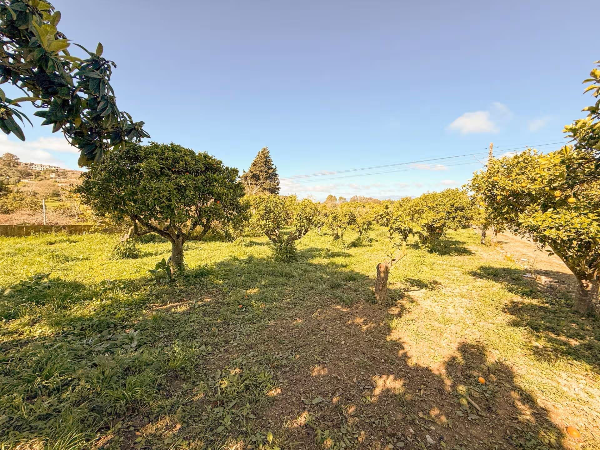 Finca In Costitx