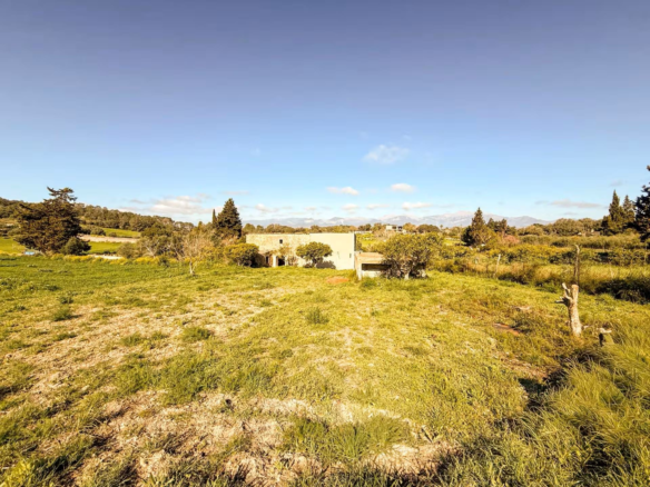Finca In Costitx