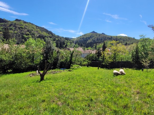 House In Lamalou Les Bains, France (100 M²)