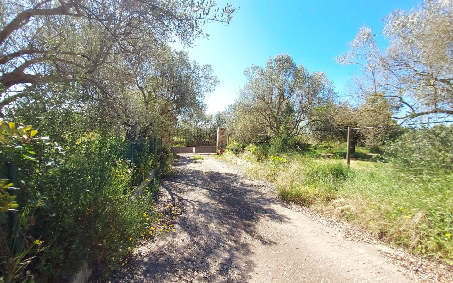 Land In Santa Maria Del Cami, Spain (177 M²)