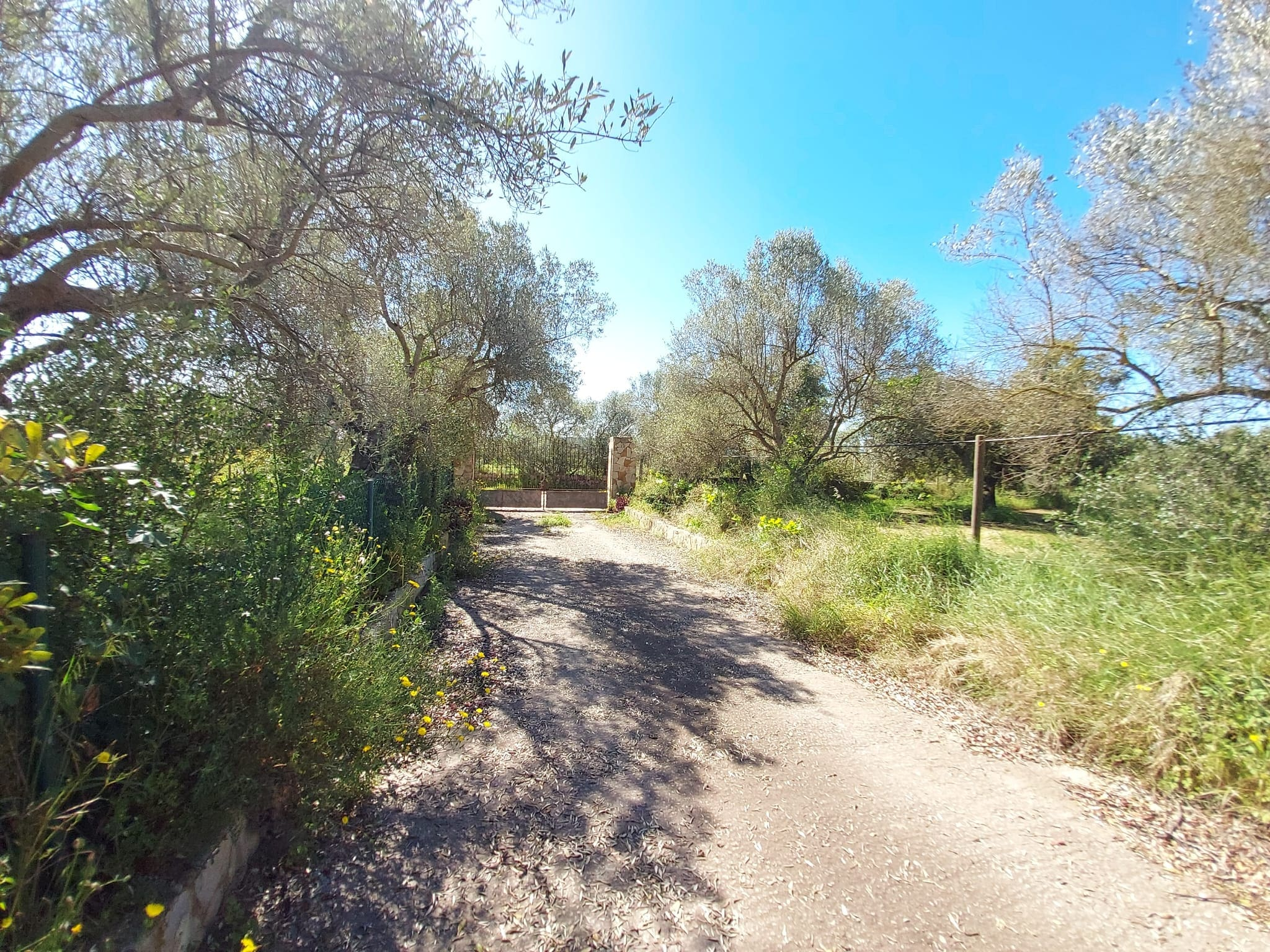 Land In Santa Maria Del Cami, Spain (177 M²)