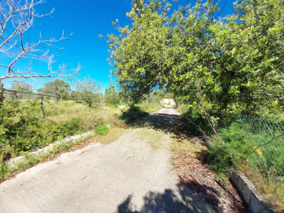 Land In Santa Maria Del Cami, Spain (177 M²)