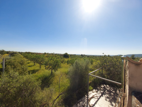 Land In Santa Maria Del Cami, Spain (177 M²)