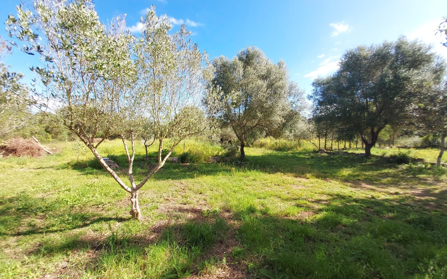 1-bedroom Finca In Muro, Spain (90 M²)