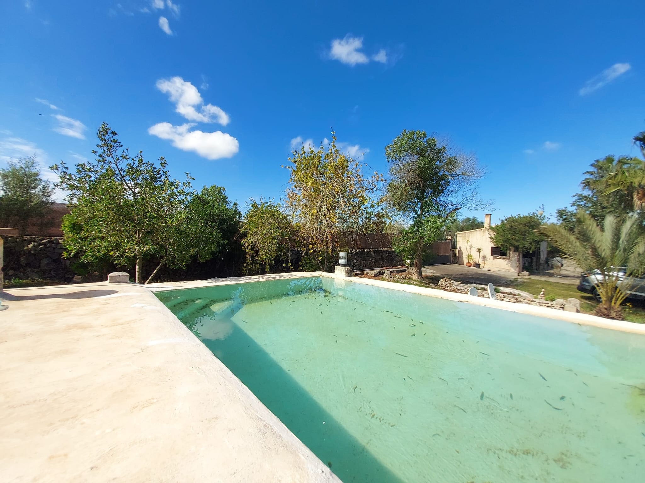 Seasonal-Rental-Finca-Muro-19-44276f 1-bedroom Finca In Muro, Spain (90 M²)
