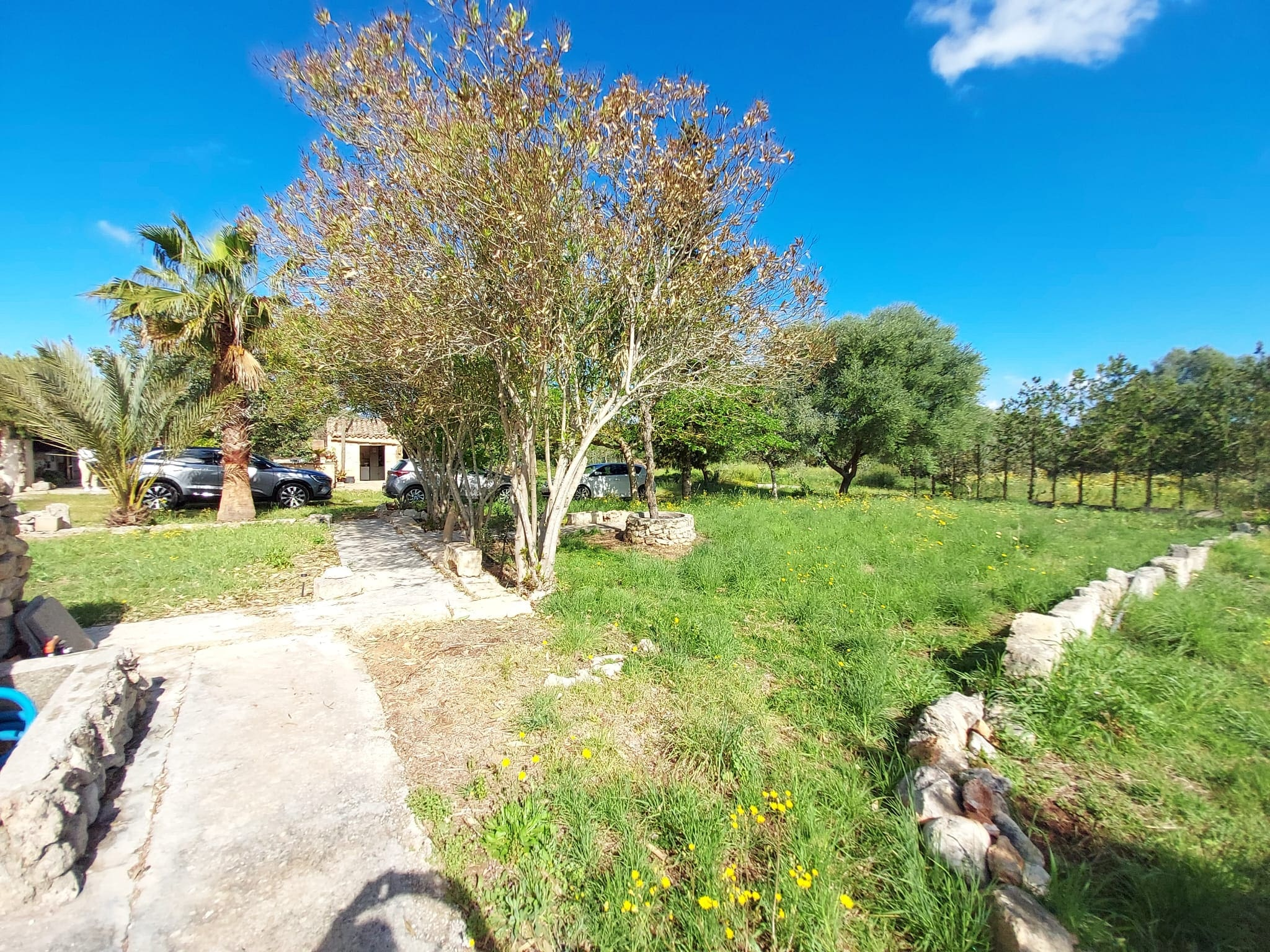 Seasonal-Rental-Finca-Muro-20-6827c9 1-bedroom Finca In Muro, Spain (90 M²)